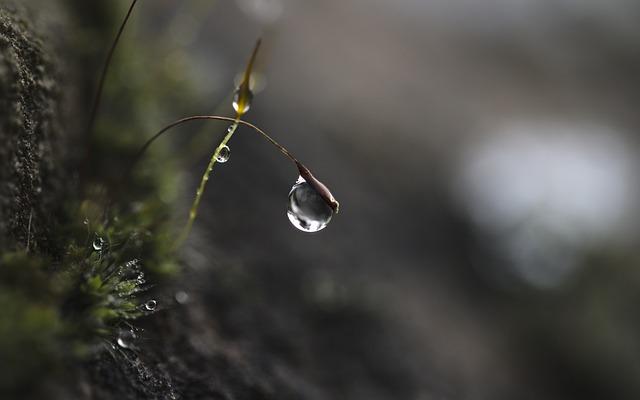 Selecting the‍ Right Frame: Key ‌Considerations for a ‍Sturdy Build