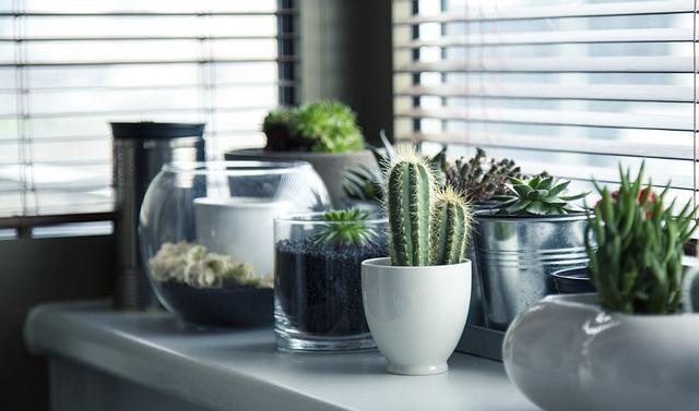 Home Accessibility and Environmental Factors