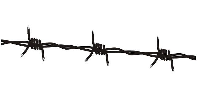 Razor Electric Scooter with Seat: Comfortable and Stylish Rides Assured 1 - Why Choose a Razor Electric Scooter with Seat?