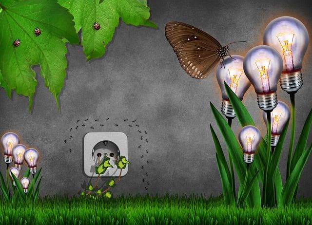 Budget-Friendly ‌Options Without Compromising Quality