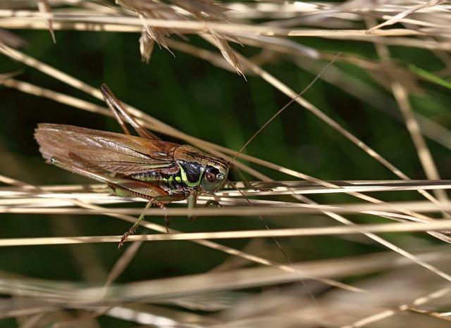 How to Get Rid of a Power Wheelchair? Responsible Disposal Methods! 7 - Considering Reselling Options for Pre-Owned Power Wheelchairs