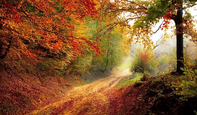Seasonal Discounts and Sales