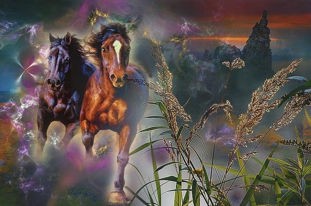 Tandem Electric Bike for Sale: Double the Fun Double the Adventure 1 Why Choose a Tandem Electric Bike?