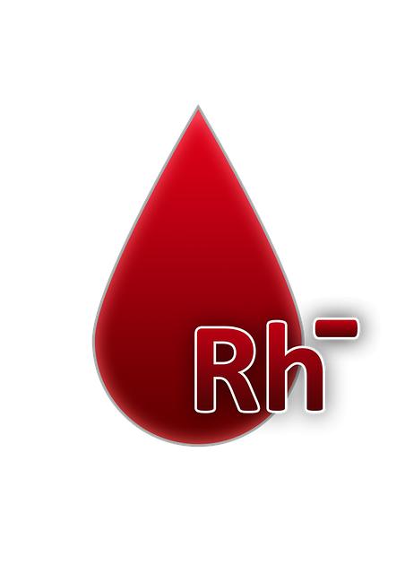 Off-Road Excursions: Top Off-Road 3 Wheel Electric Bikes Revealed 5 Factors to Consider When Choosing an Off-Road Electric Bike