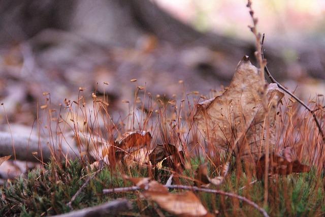 Momentum Electric Bike Review: Your Guide to Smooth Effortless Rides! 1 Exploring the Battery Life and Range of Momentum Electric Bikes