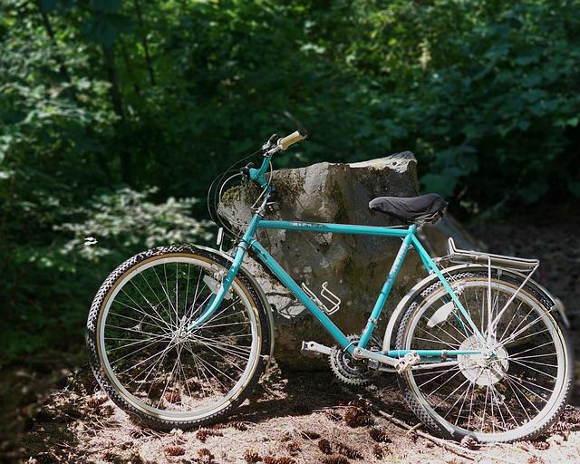 Tips for Maintaining and Caring for Your Schwinn Electric Scooter with Seat