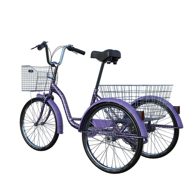 Electric Mobility Trike for Adults: Stay Active and Independent 1 Electric Mobility Trikes: A Guide for Active Adults