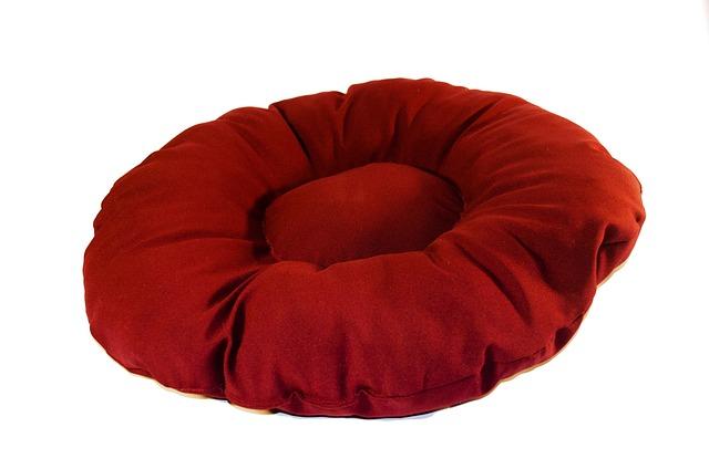Cushion for Power Wheelchair: Comfort Redefined 1 Choosing the Right Cushion Material for Your Power Wheelchair