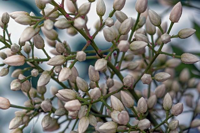 What Is the Best Floor for a Power Wheelchair: Flooring Options Compared 4 Bamboo Flooring: Sustainability and Accessibility for Wheelchairs