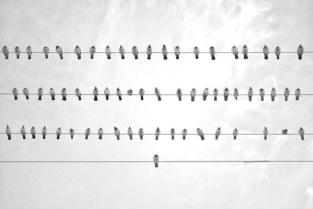 Stay Organized: Electric Moped with Storage Solutions! 7 Simplify Your Life with Well-planned Storage Features