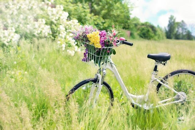 DIY Dreams: Can I Convert My Bike to an Electric Bike? 2 Considering the Costs and Benefits of Converting Your Bike to Electric