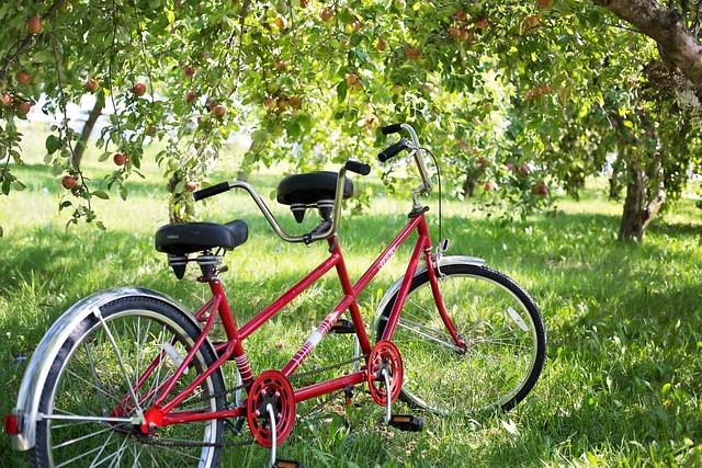 Tandem Electric Bike for Sale: Double the Fun Double the Adventure 9 Where to Find the Best Tandem Electric Bikes for Sale