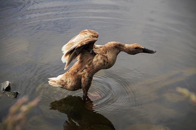 Cruise in Style: Best 3 Wheel Electric Car Models 8 How to Customize Your 3 Wheel Electric Car for Maximum Comfort