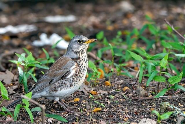 Harnessing the Power⁣ of both ​Throttle and ⁣Pedal Assist for Optimal Performance