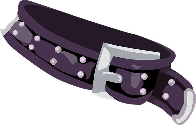 Customizable Options for Personalization