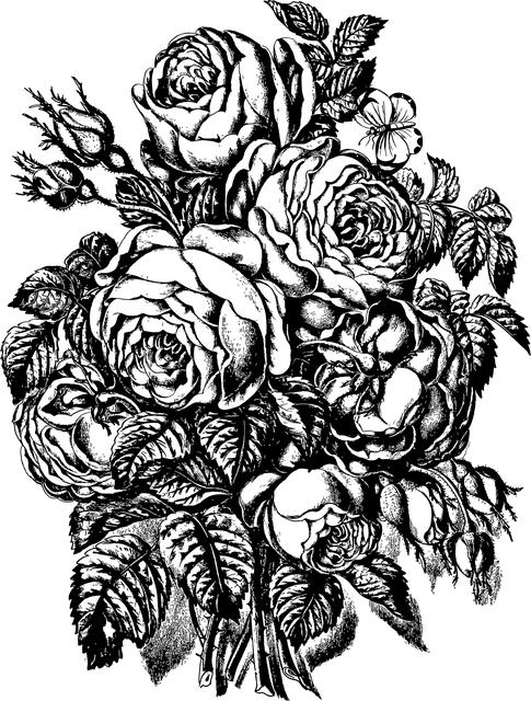 Vintage Moped Electric Conversion: Revive Your Classic Ride with Electric Power 1 Vintage Moped Electric Conversion Overview