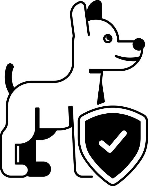 Securing Peace of Mind: Insurance for Electric Moped Explained 6 Factors to Consider When Choosing an Insurance Provider for Your Electric Moped