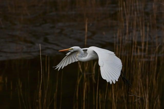 Flying in a Power Wheelchair: Tips for a Smooth Journey 5 In-Flight Tips for Comfort and Safety