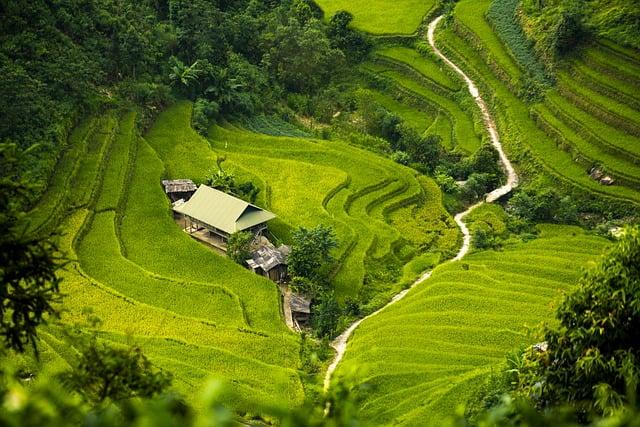 Step 2: Adding Details and Features