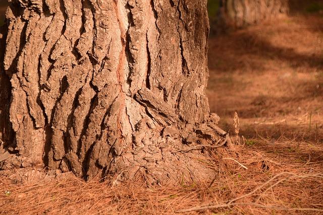 Repairs Made Easy: Who Fixes Power Wheelchairs in Colorado Springs? 3 Locating Reliable and Experienced Repair Technicians in Colorado Springs