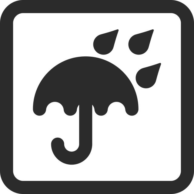 Electric Wheelchair for 600 lbs: Heavy-Duty Mobility Solutions 10 Safety Precautions to Consider When Using a Heavy-Duty Electric Wheelchair