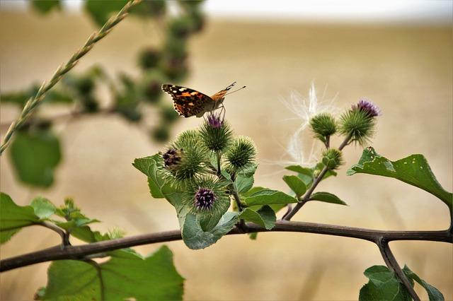 Upgrade Your Ride: Replacement Velcro Straps for Hoverboard Kart Available 4 - Choosing the Right Velcro Straps for Your Hoverboard Kart: Factors to Consider