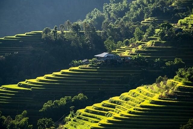 Step-by-Step Guide on How to Download Your Free PDF Service Repair Manual
