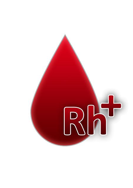 Exploring Options: Where to Rent a Power Wheelchair in Seatac 2 Factors to Consider When Renting a Power Wheelchair