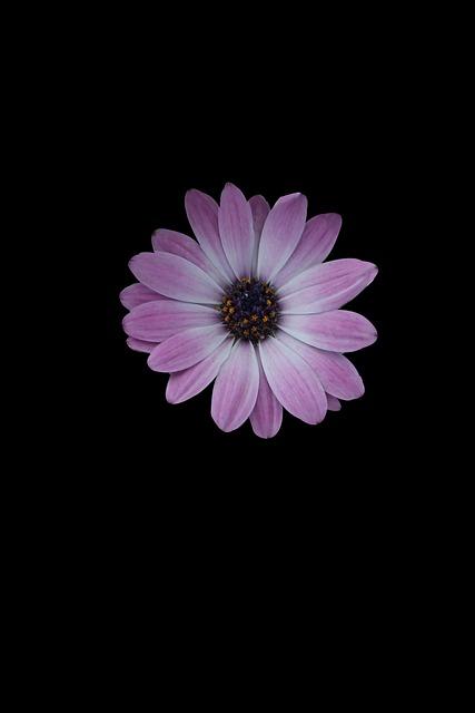 Enhanced Mobility: The Importance of Power Positioning System Wheelchairs 3 Improved Postural Support and Pressure Relief