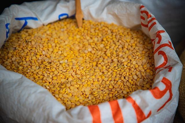 Durability and Reliability: Ensuring Long-lasting Performance of Electric Winches