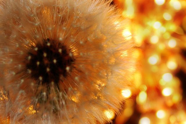 How to Unlock Doodle Hoverboard: Pro Strategies 10 Staying Persistent and Patient in Achieving the Doodle Hoverboard