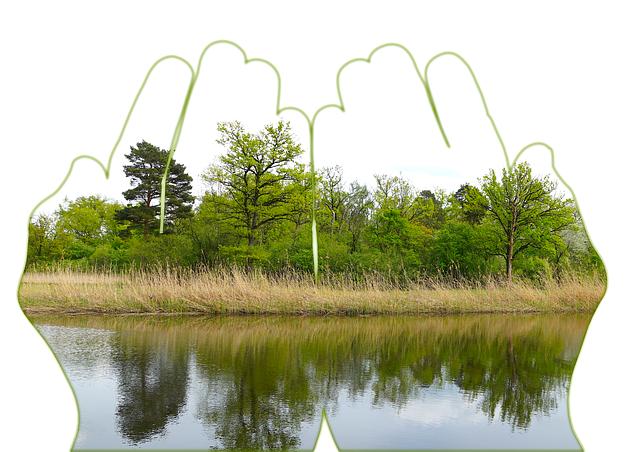 Commuter Electric Scooter for Adults: Effortless City Travel 6 - How to Maintain and Care for Your Commuter Electric Scooter