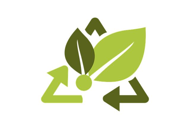 - Eco-Friendly Options: High-Quality Electric Scooters with Sustainable Materials