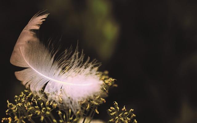 Best Lightweight Electric Wheelchair for Elderly: Comfort and Support for Every Journey 1 Overview of Lightweight Electric Wheelchairs for Elderly