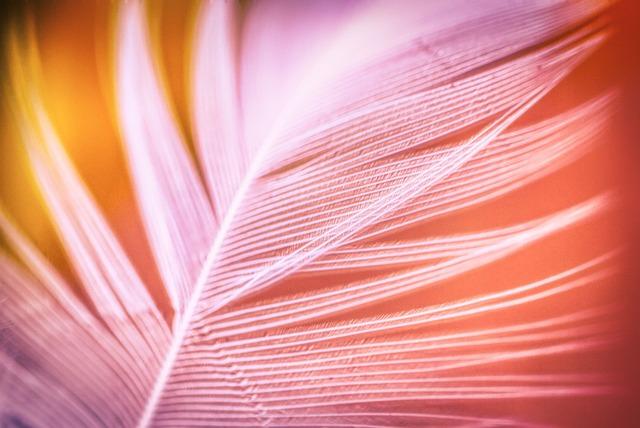 Best Lightweight Electric Wheelchair for Elderly: Comfort and Support for Every Journey 2 Choosing the Right Lightweight Electric Wheelchair: Factors to Consider