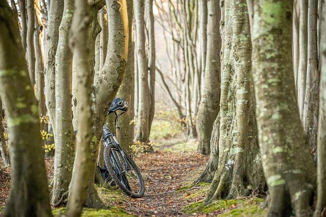 The Best Riding Conditions for Utilizing the Bike Attachment